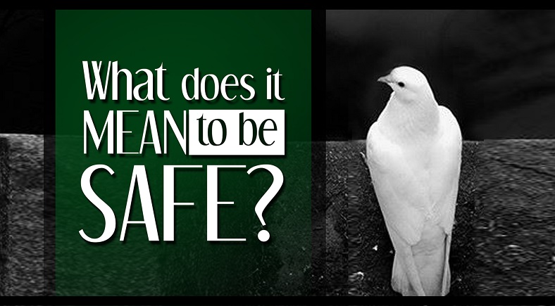 What Does it Mean to be Safe?